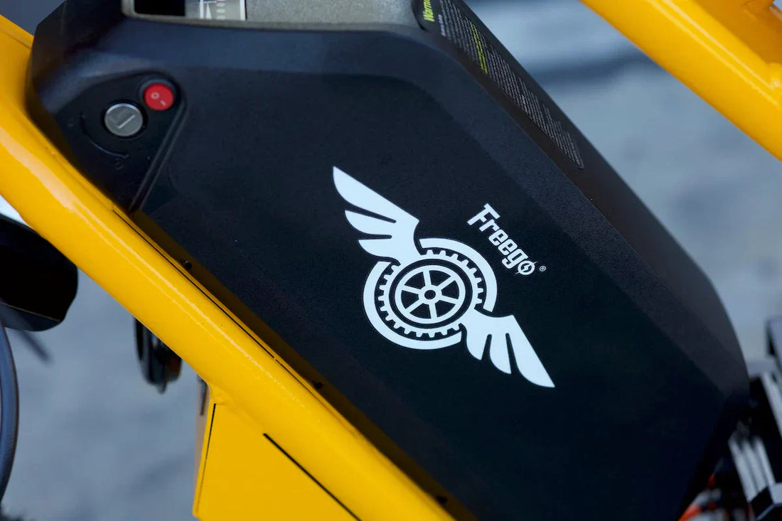 Freego Nova 2 electric bicycle battery
