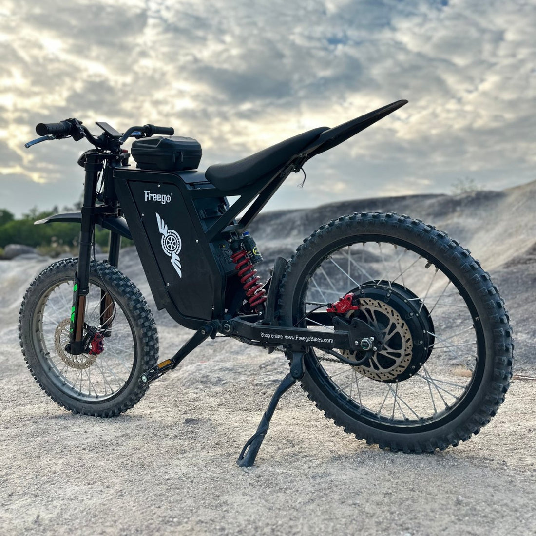 Freego X3 Pro electric bikes Canada summer adventure cover image