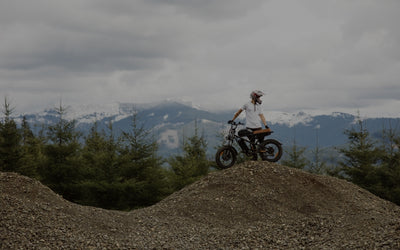 Freego Canada Official Store | Powerful eBikes