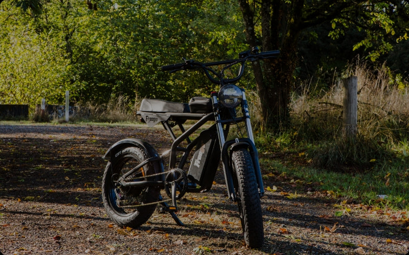 Freego Canada Official Store | Powerful eBikes