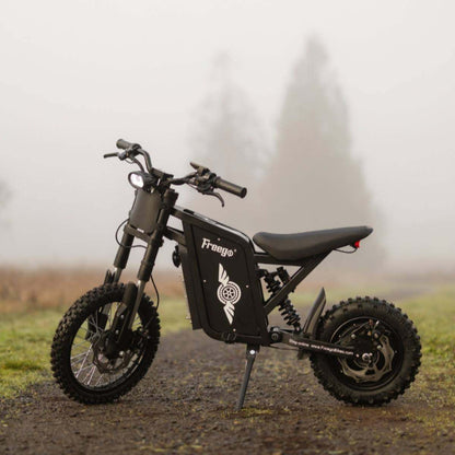 Freego X0 Electric Mini Bike for Teens and Adults