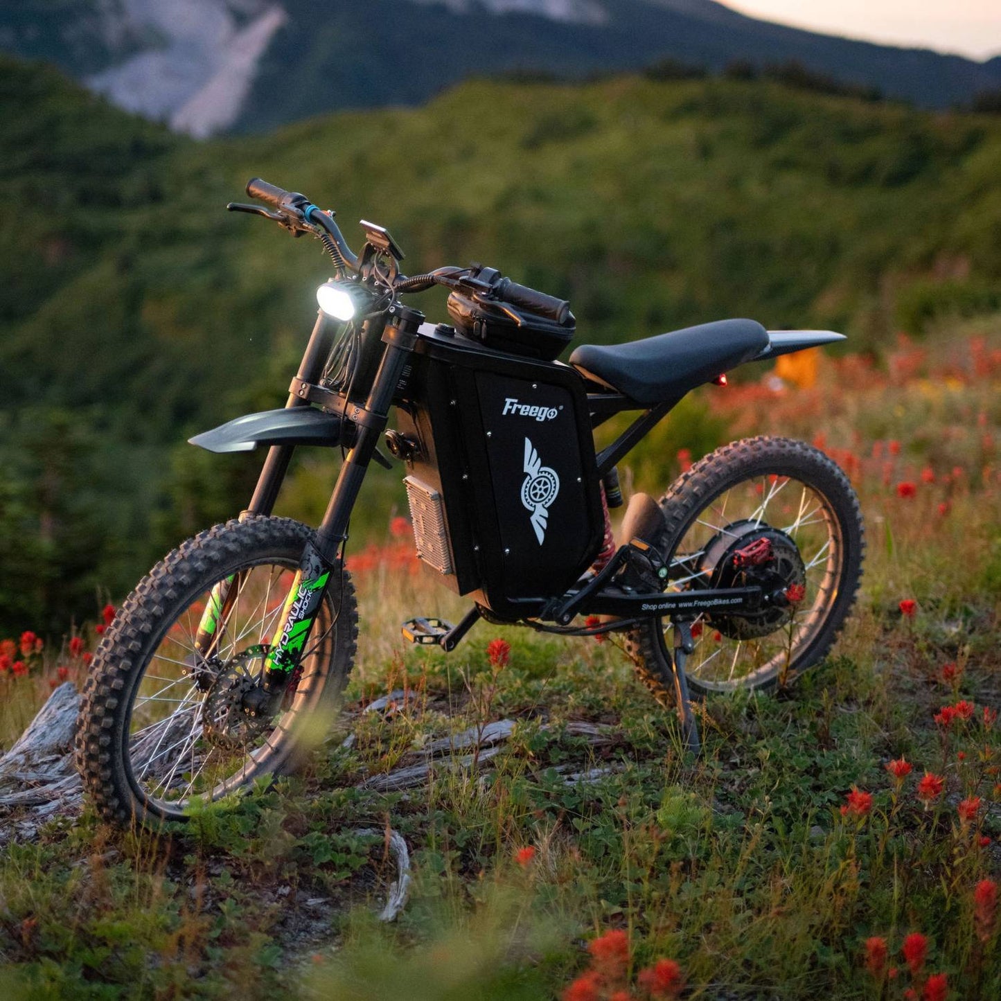 Freego X3 Pro All-Terrain Electric Dirt Bike with Pedals