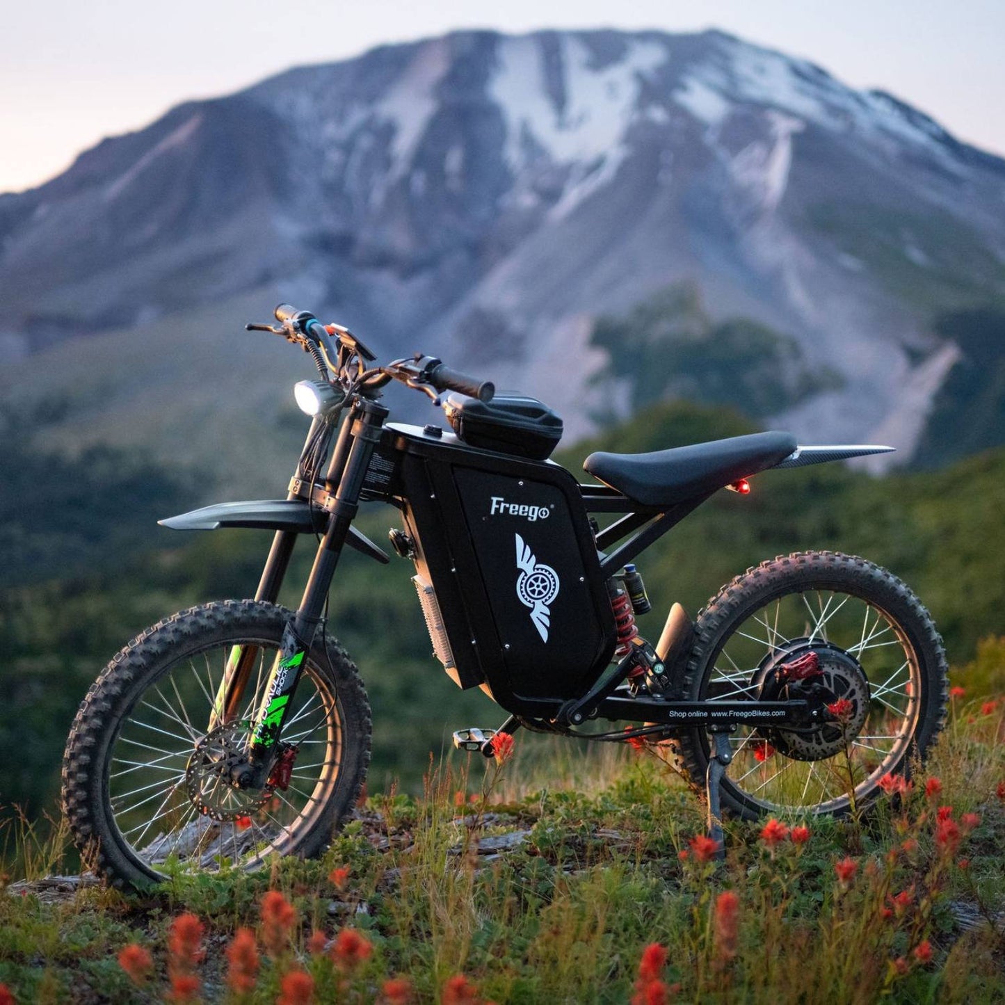 Freego X3 Pro All-Terrain Electric Dirt Bike with Pedals